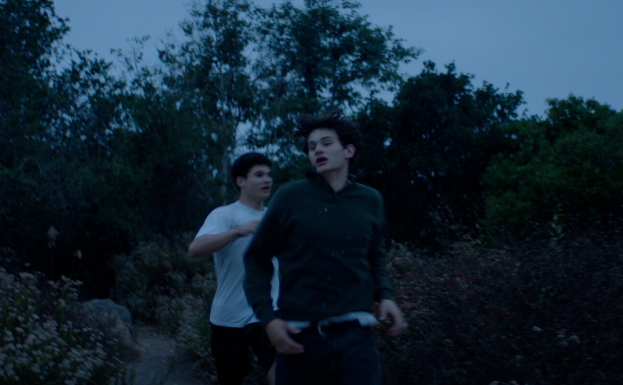 Parks, Boulevards, and Playgrounds