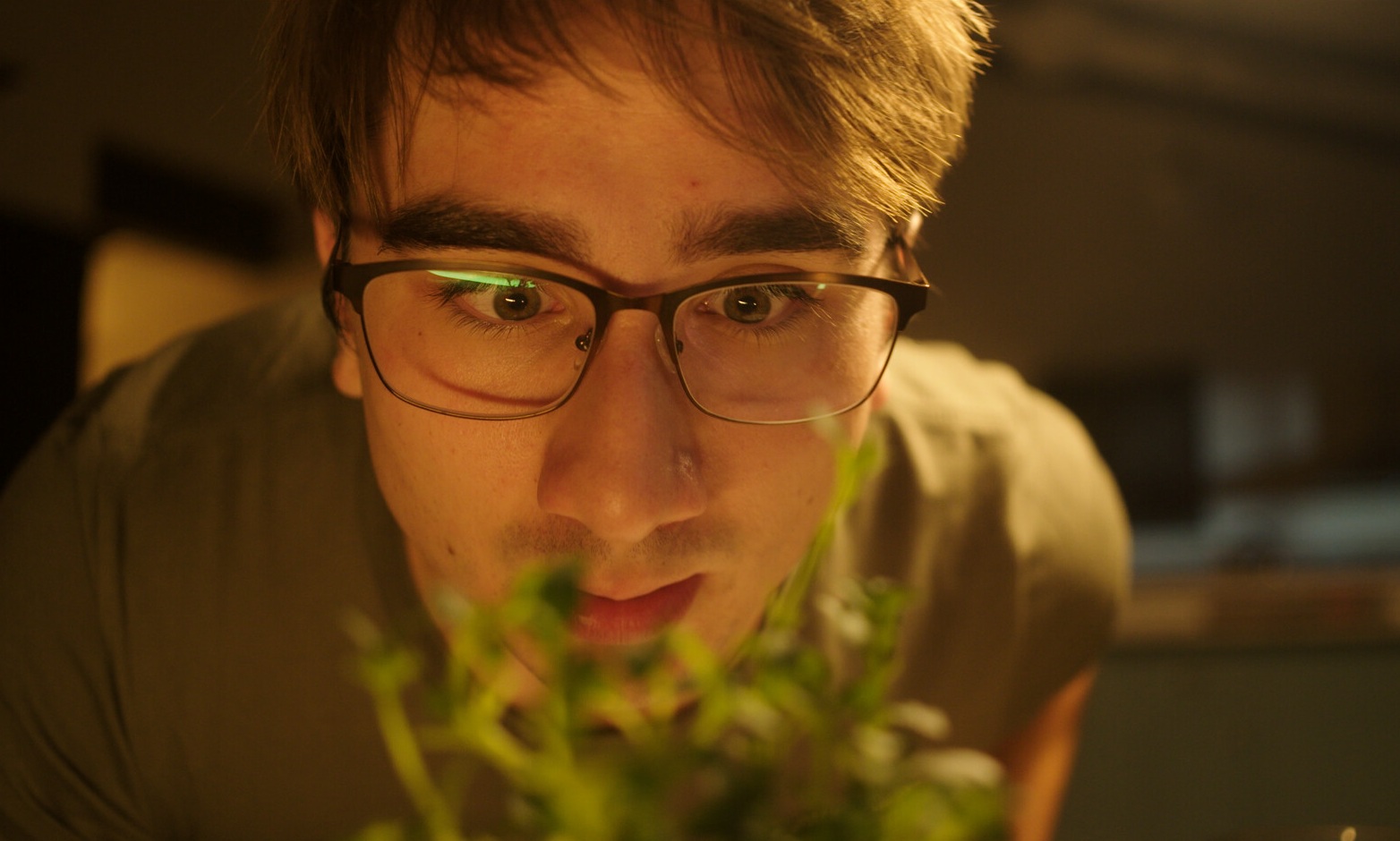 Tim's Turbulent Garden