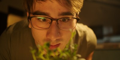 Tim's Turbulent Garden