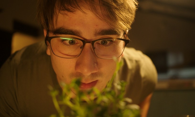 Tim's Turbulent Garden