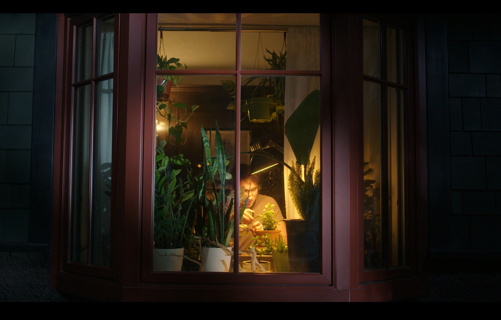 Tim's Turbulent Garden